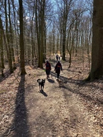 4. Literarische Wanderung