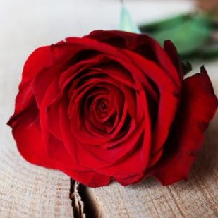 Valentinstag - Geschenke zum Valentinstag