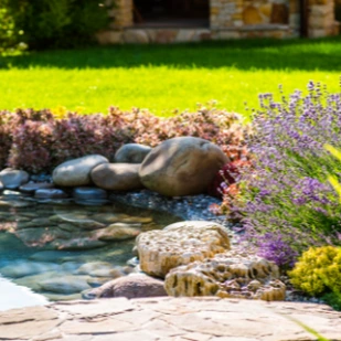 April 2019 - Garten und Balkon gestalten