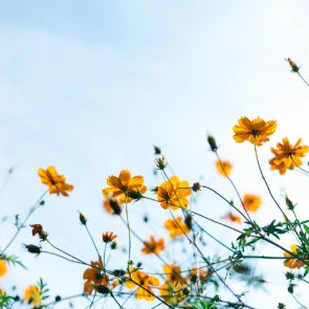 April 2019 - Neue eBooks