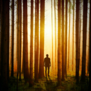 Januar 2022 - Neue Krimis und Thriller