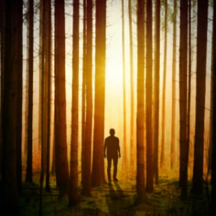 Januar 2022 - Neue Krimis und Thriller