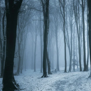 Januar 2021 - Neue Krimis und Thriller