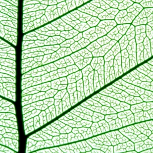 Mai 2022 - Popul&auml;re Naturwissenschaften