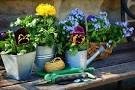 Ausgebucht! „Frischer Frühjahrswind im Garten“ in der Stadtbibliothek Lohmar.