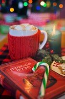Weihnachtliche Buchvorstellung in Plüderhausen