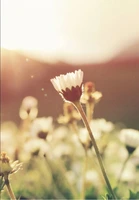 Unsere Leselust-Empfehlungen für Frühling und Sommer