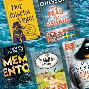 Spannung im Gep&auml;ck - Perfekte Urlaubslekt&uuml;re &zwnj;