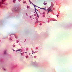 April 2019 - Neue eBooks