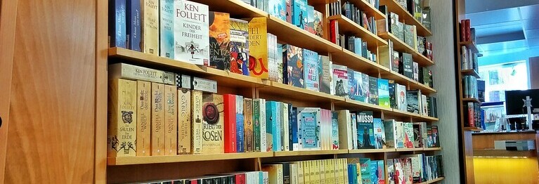 Blick auf das Regal mit Romanen.