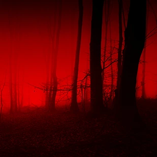 Neue Krimis &amp; Thriller - Spannend bis zur letzten Seite