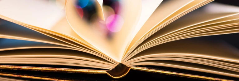 Sie suchen noch ein Geschenk für einen Bücherwurm?
Dann verschenken Sie einfach unser Bücher-Abo. Sie legen Genre und den Preisrahmen fest und liefern in einem festgelegten Rhythmus in Ihrem Auftrag ein Buch an den oder die Beschenkte. 
Sprechen Sie uns an!
