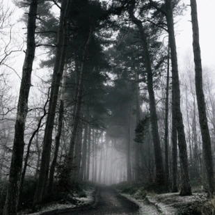 Januar 2019 - Krimi- &amp; Thriller-Empfehlungen